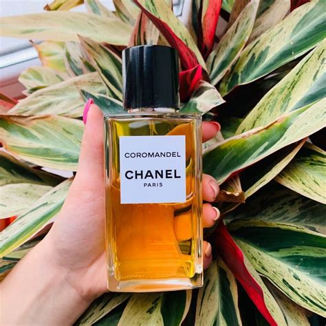 coromandel chanel formato borsetta|eau de parfum coromandel.